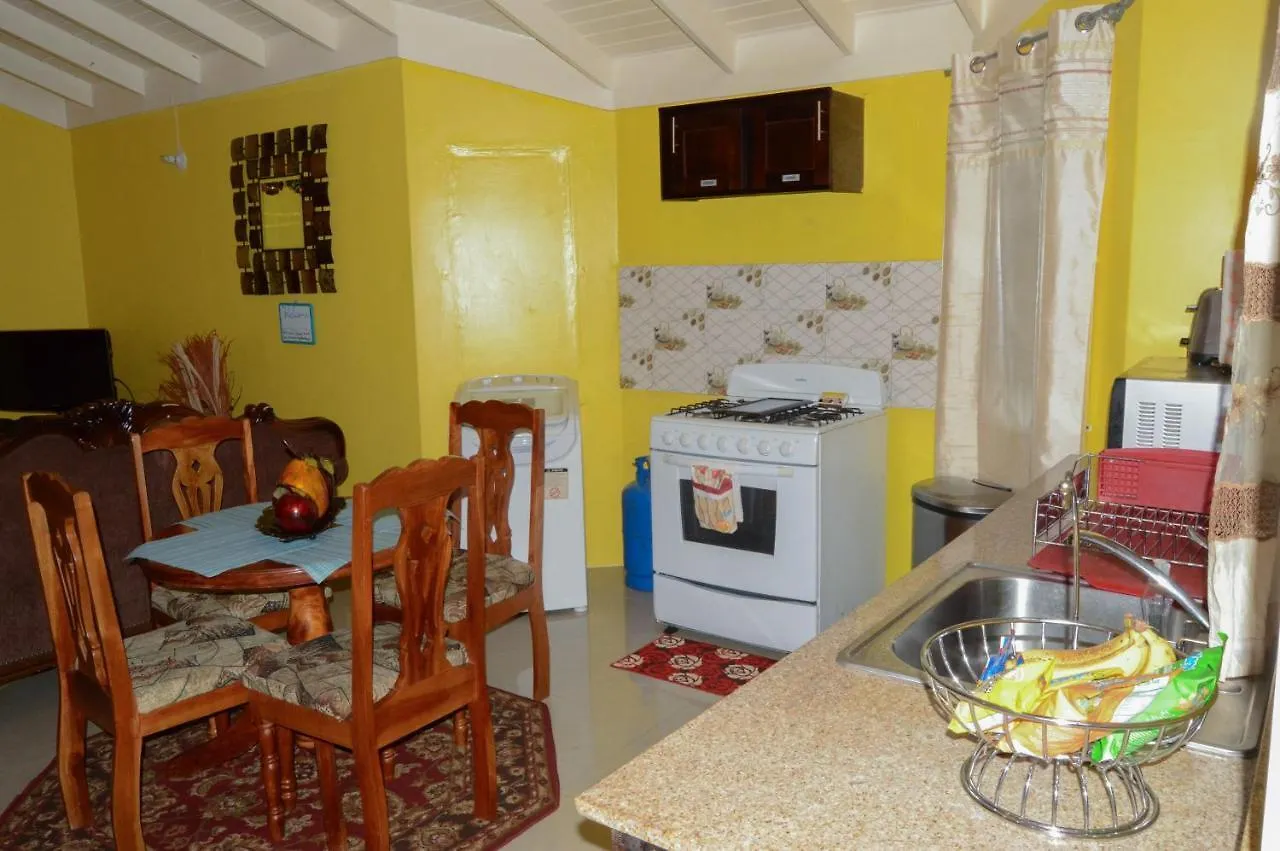 Josan'S Haven Villa Ocho Rios Jamaica